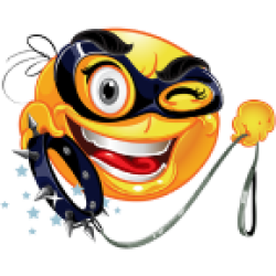 FindomLive.cam Logo